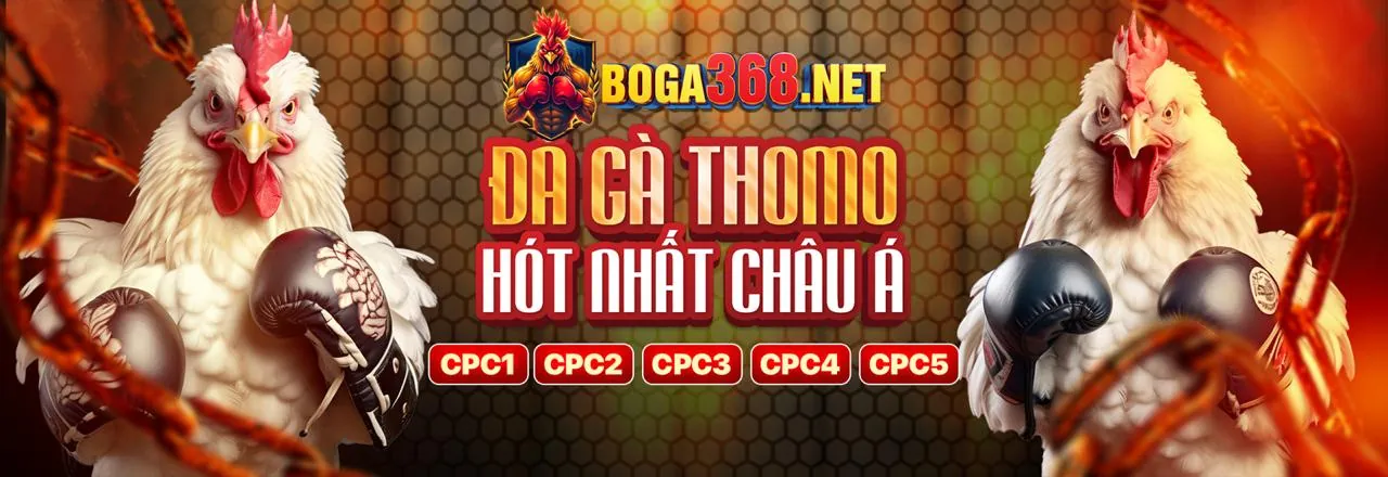Banner tin tức nhacai88