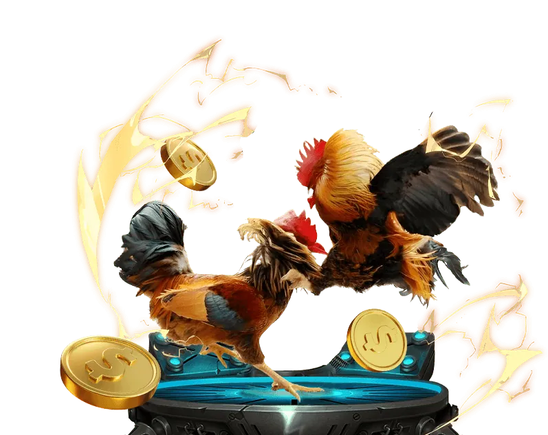 Hình ảnh chính nhacai88